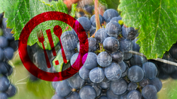 Pour changer l’agriculture, il faut changer notre