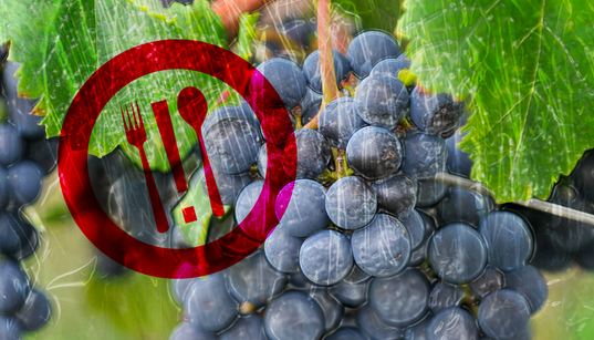 Pour changer l’agriculture, il faut changer notre