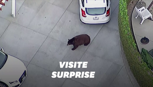 Ces Californiens ont reçu un visiteur inattendu dans leur