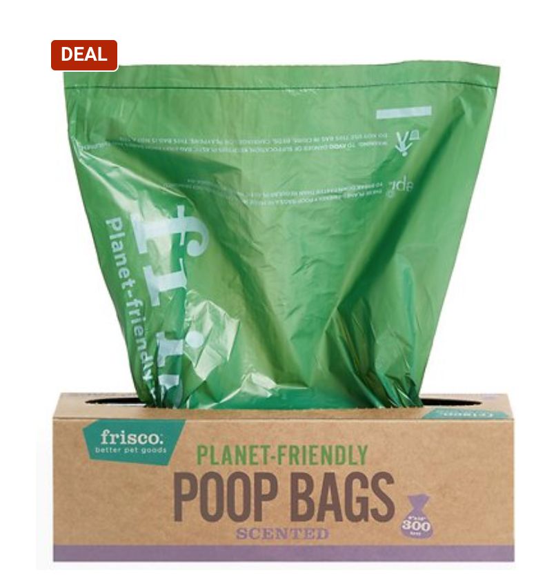 7 Eco-Friendly, Sustainable Plastic Bag Alternatives