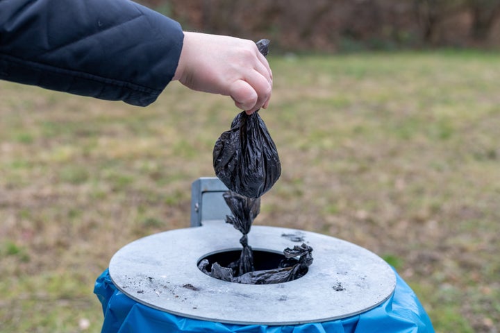 Dog and cat owners in New York state who often rely on plastic bags for backyard messes and little box cleanup will need to look for more sustainable alternatives come March 1, 2020. Even if you don't live in New York, we've pulled together a guide to all of the ways you can ditch single-use plastics from your routine. 