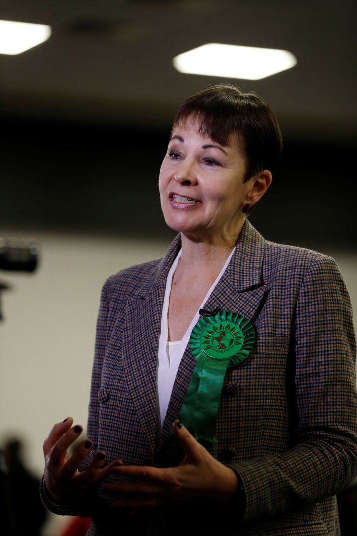 Green Party MP Caroline Lucas said outstanding cases will be a "litmus test" for government.