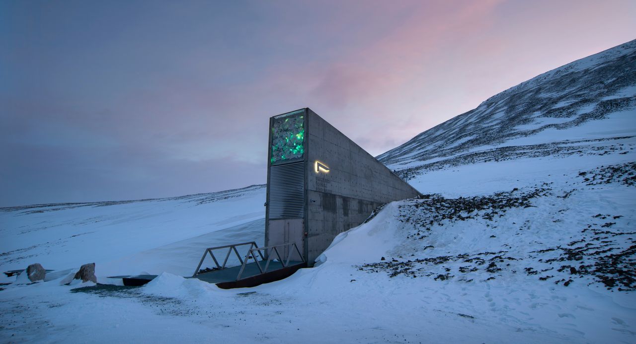 The Svalbard Global Seed Vault is the centralised backup system for seed banks around the world. Its goal is to preserve crop diversity for future generations.