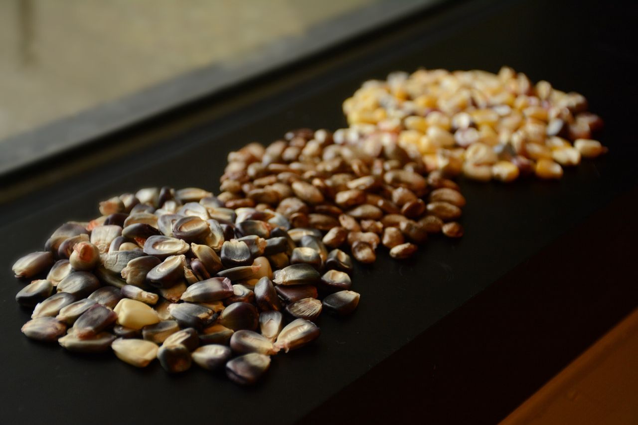 Cherokee Nation seeds destined for the Svalbard Global Seed Vault.
