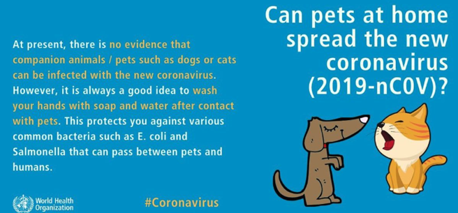 Advertencia de la OMS sobre el contagio del coronavirus en animales.