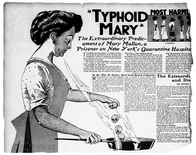 Una illustrazione su Mary Mallon