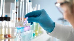 D’abord jugés trop coûteux, les tests ADN sur la mort d’Elisa Pilarski seront bien