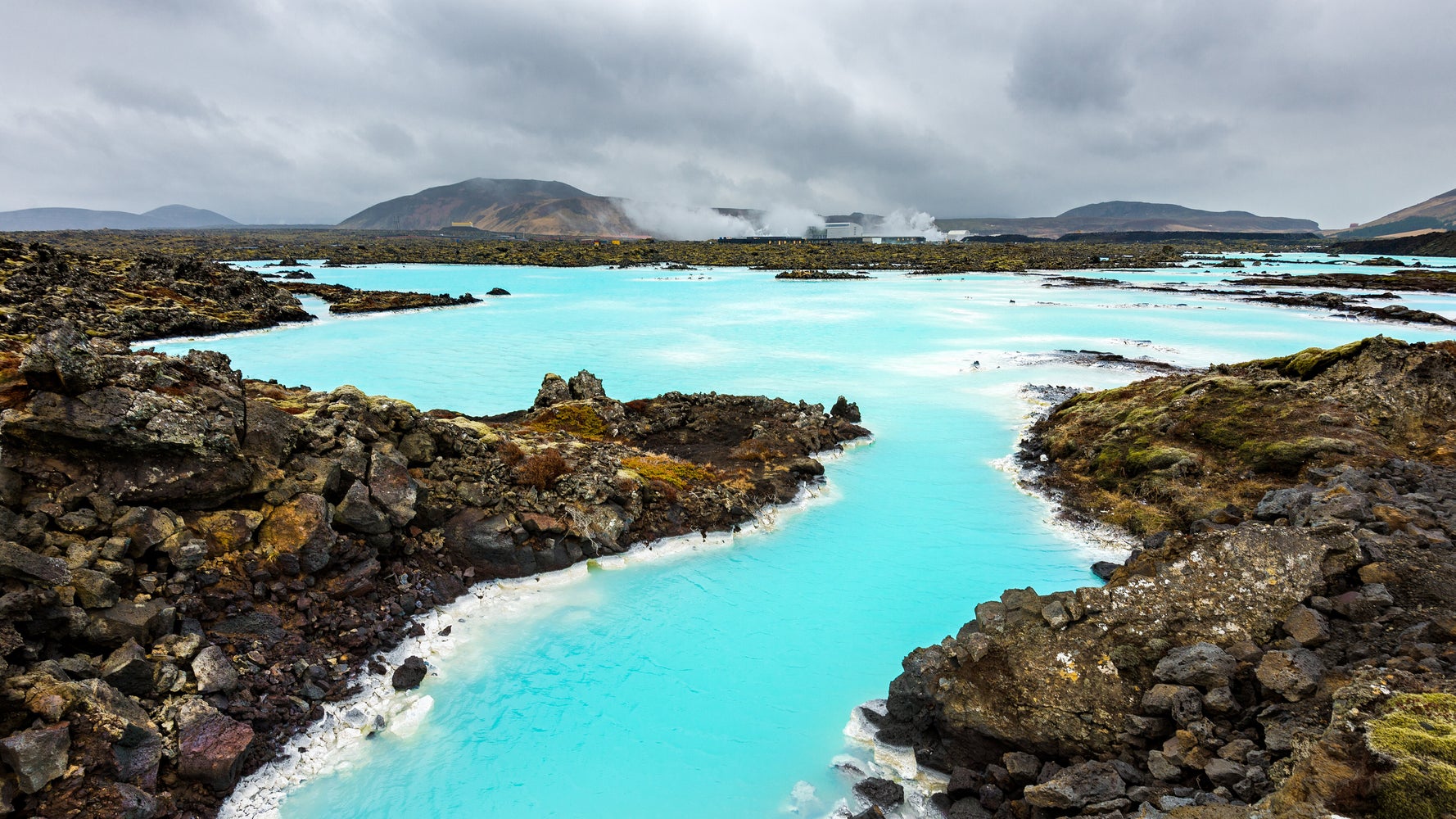 Iceland Stories Airlines Mammals Iceland Flipboard iceland-stories-airlines-mammals-iceland-flipboard