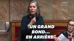 Le gros lapsus de cette députée LREM sur la réforme des retraites régale