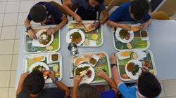 Les cantines sont inégalitaires et coûtent trop cher, selon la Cour des