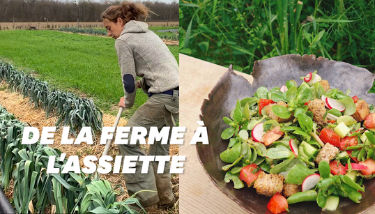 Chef et maraîcher, la formule gagnante du restaurant Mûre à