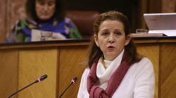 Dimite la presidenta de Vox en Sevilla: 