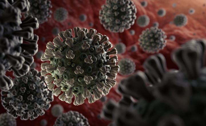 A microscropic illustration of the coronavirus that was discovered in Wuhan, China, in 2019. 