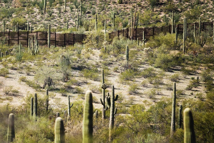 A border fence, surrounded by cacti, is seen at the national monument in 2017. A Border Patrol official has argued that current construction efforts are taking place where fencing was previously erected.