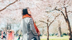 社会人になるあなたへ！新生活を応援する楽天売れ筋のグッズ5選