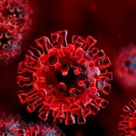 Novel Coronavirus: Everything WHO Learned On A Research Trip To