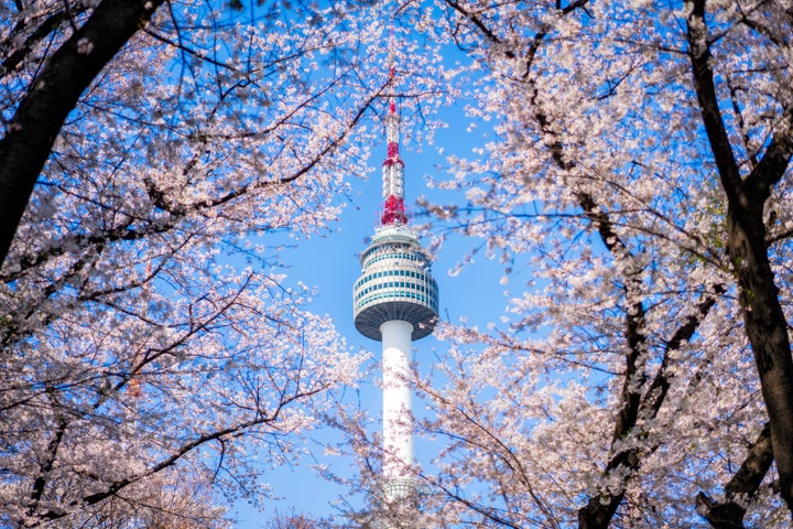 서울 남산 자료사진