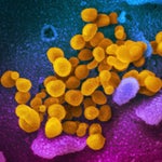 Ontario Reports 7 New Coronavirus Cases Within 24