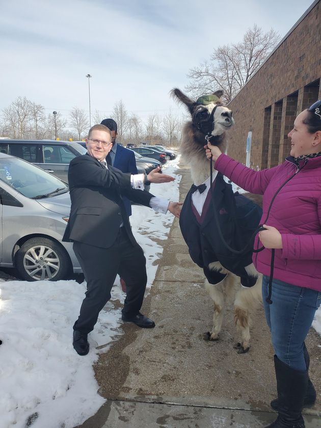 Mendl Weinstock of Cleveland (left) vowed five years ago he'd bring a llama to his sister Riva's wedding. Last weekend, he kept his promise.