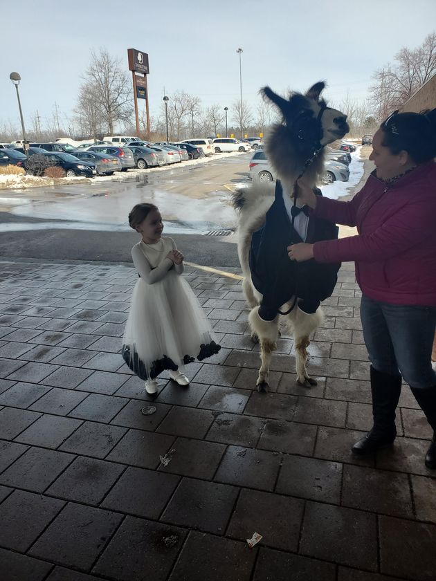 Shocky appeared outside the banquet hall for about 30 minutes, posing with the wedding party and guests as they entered the venue.