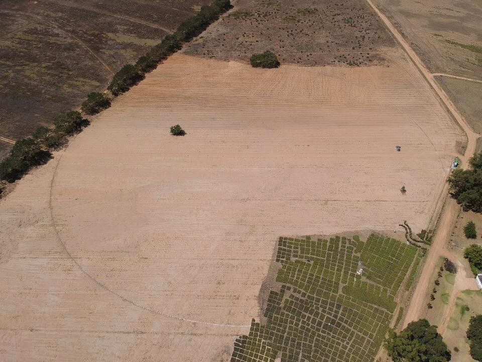 Peter Shrimpton's labyrinth of spekboom starting to take shape in Stellenbosch, South Africa. 