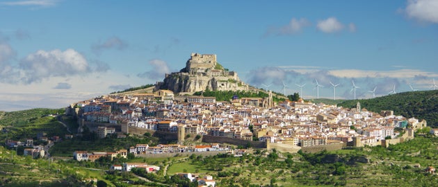 Morella