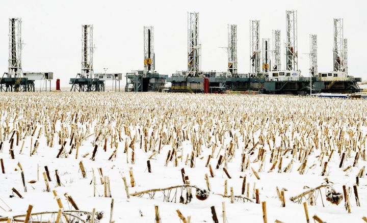 Sunflower stalks punctuate the snow in a field near dormant oil drilling rigs that have been stacked in Dickinson, North Dakota.