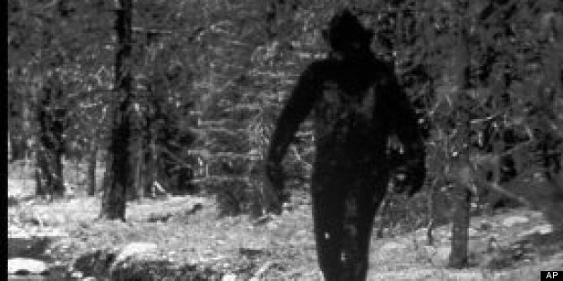 Bigfoot DNA Tests: Melba Ketchum's Research Results Are Bogus, Claims ...