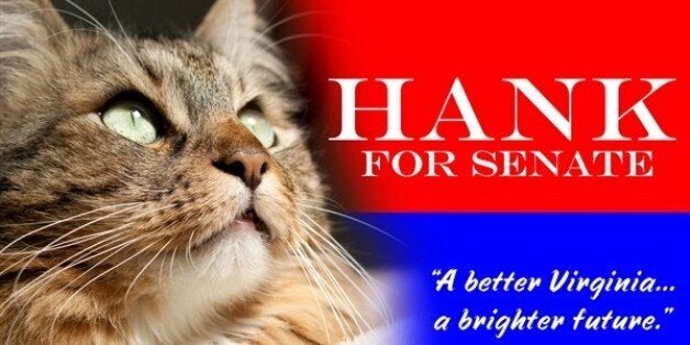 Hank for President