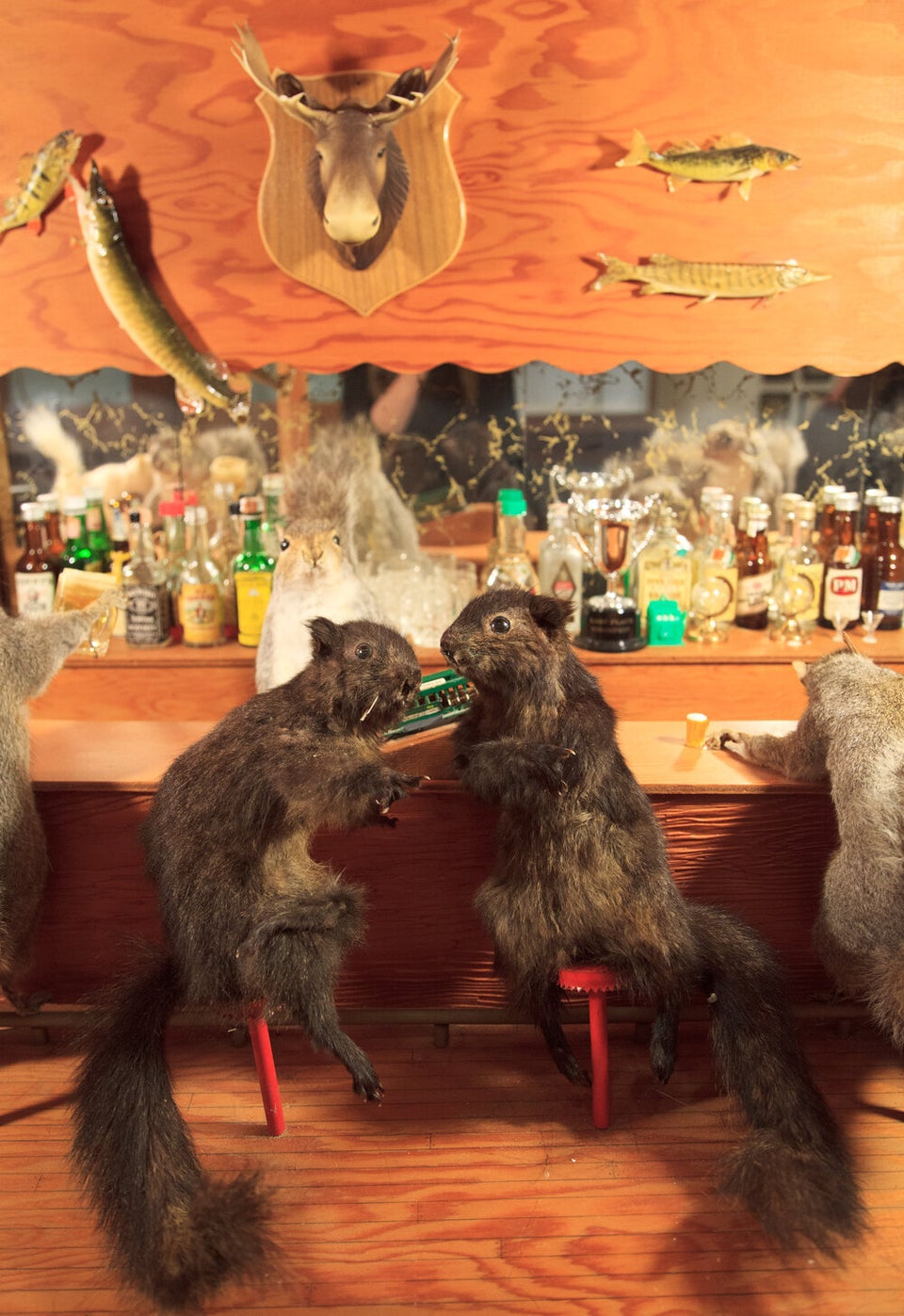  The Squirrel Bar Tableau