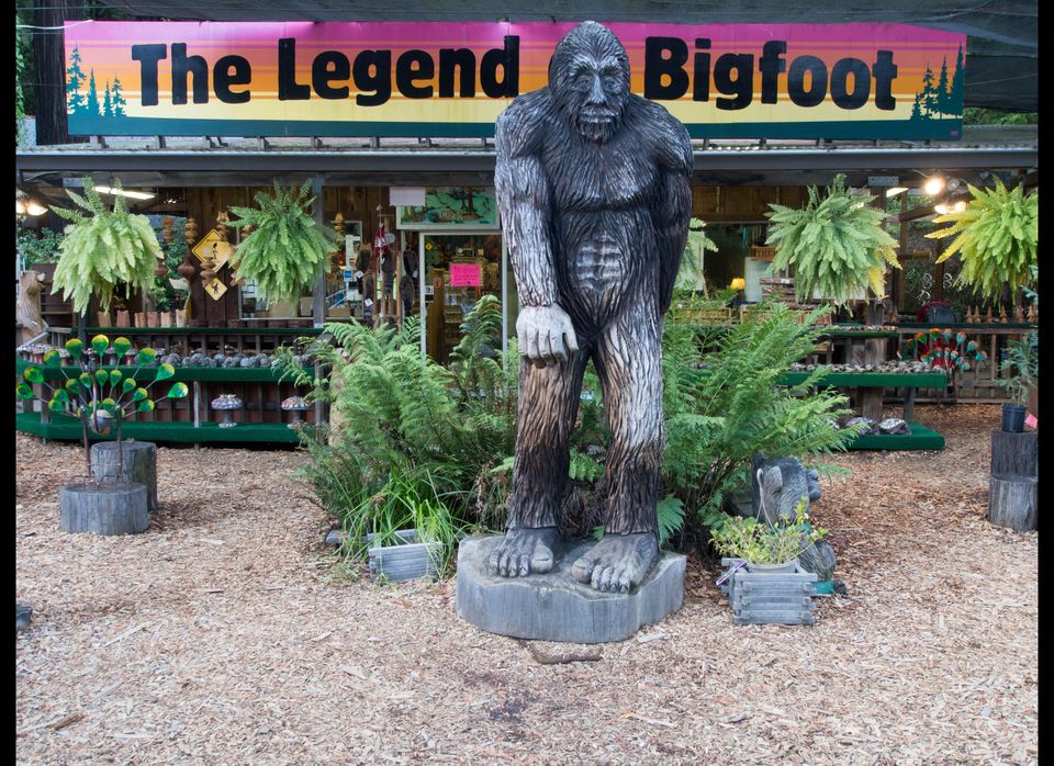 Bigfoot, North America