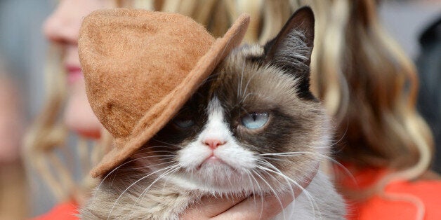 Grumpy Cat arrives at the MTV Movie Awards on Sunday, April 13, 2014, at Nokia Theatre in Los Angeles. (Photo by Jordan Strauss/Invision/AP)