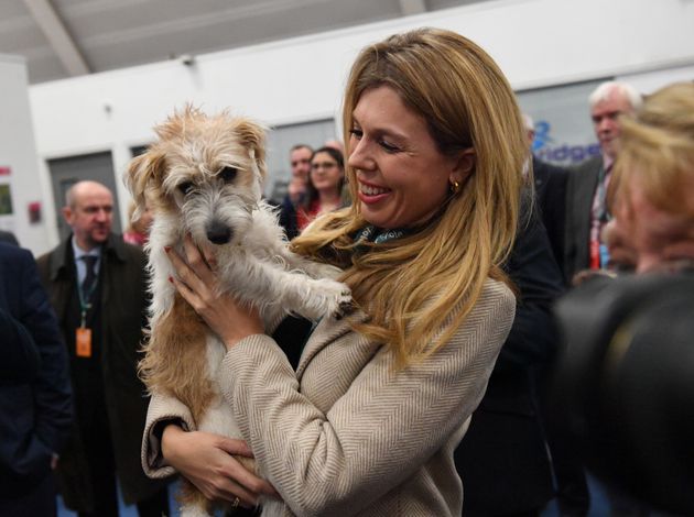 Carrie Symonds Says Reports She Wants Rid Of Dog Dilyn Are Total C**p