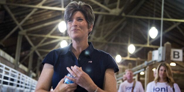 UNITED STATES - AUGUST 08: Joni Ernst, Iowa Republican Senate candidate, campaigns at the 2014 Iowa State Fair in Des Moines, Iowa, August 8, 2014. (Photo By Tom Williams/CQ Roll Call)