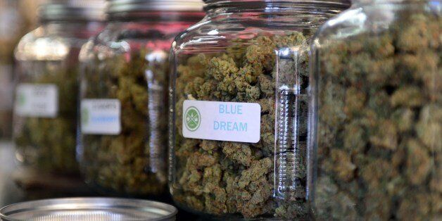 The highly-rated strain of medical marijuana 'Blue Dream' is displayed among others in glass jars at Los Angeles' first-ever cannabis farmer's market at the West Coast Collective medical marijuana dispensary, on the fourth of July, or Independence Day, in Los Angeles, California on July 4, 2014 where organizer's of the 3-day event plan to showcase high quality cannabis from growers and vendors throughout the state. A vendor is seen here responding to questions and offering a whiff of the strain 'Skyjack'. AFP PHOTO/Frederic J. BROWN (Photo credit should read FREDERIC J. BROWN/AFP/Getty Images)