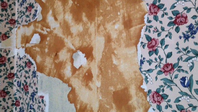 How To Remove Wallpaper With Vinegar | HuffPost Life How To Remove Wallpaper With Vinegar | HuffPost Life