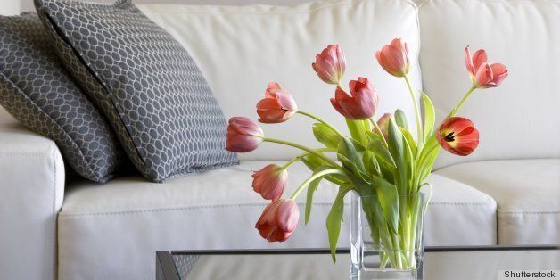 vase of red tulips in modern...
