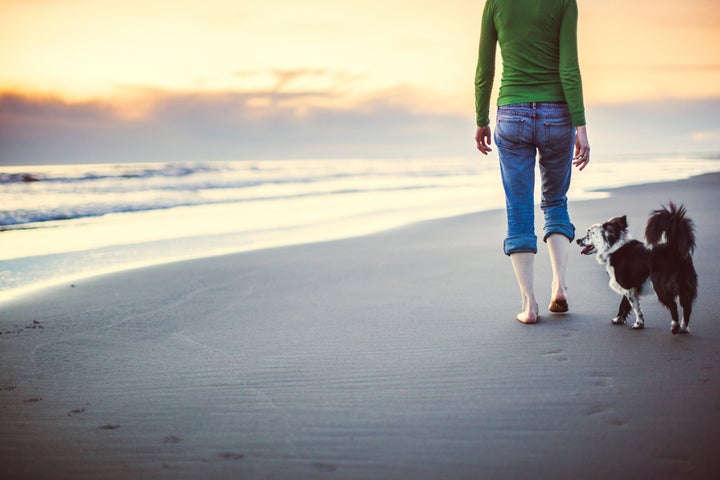 A young woman and her pet puppy walk down a sandy beach at sunset, the sky glowing a yellow orange as the sun disappears behind the clouds and into the Pacific Ocean. Horizontal with copy space in the sky.