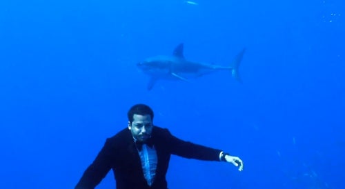 David Blaine Shark Trick: Illusionist Seems To Swim With A Great White Shark In 'Dressed For Dinner' (VIDEO)