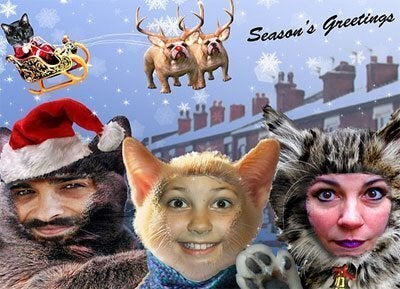 funny cat family christmas cards