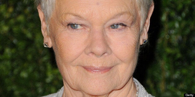 LONDON, UNITED KINGDOM - NOVEMBER 25: Dame Judy Dench attends the 58th London Evening Standard Theatre Awards in association with Burberry on November 25, 2012 in London, England. (Photo by Stuart Wilson/Getty Images)