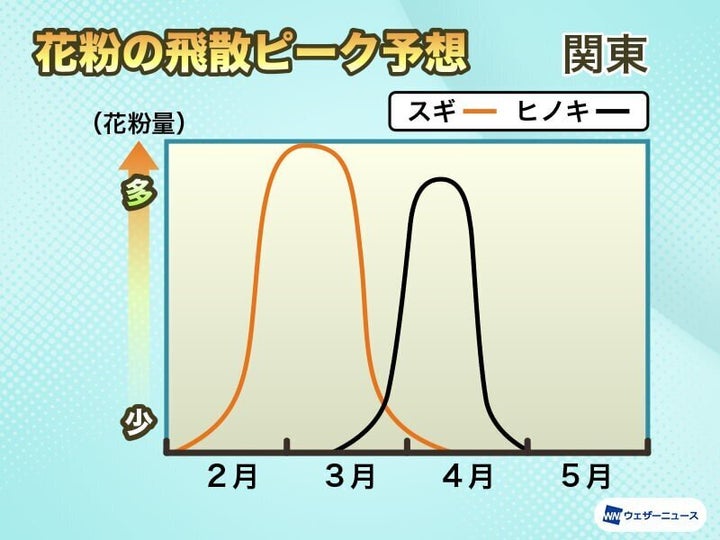 花粉の飛散ピーク予想（関東）