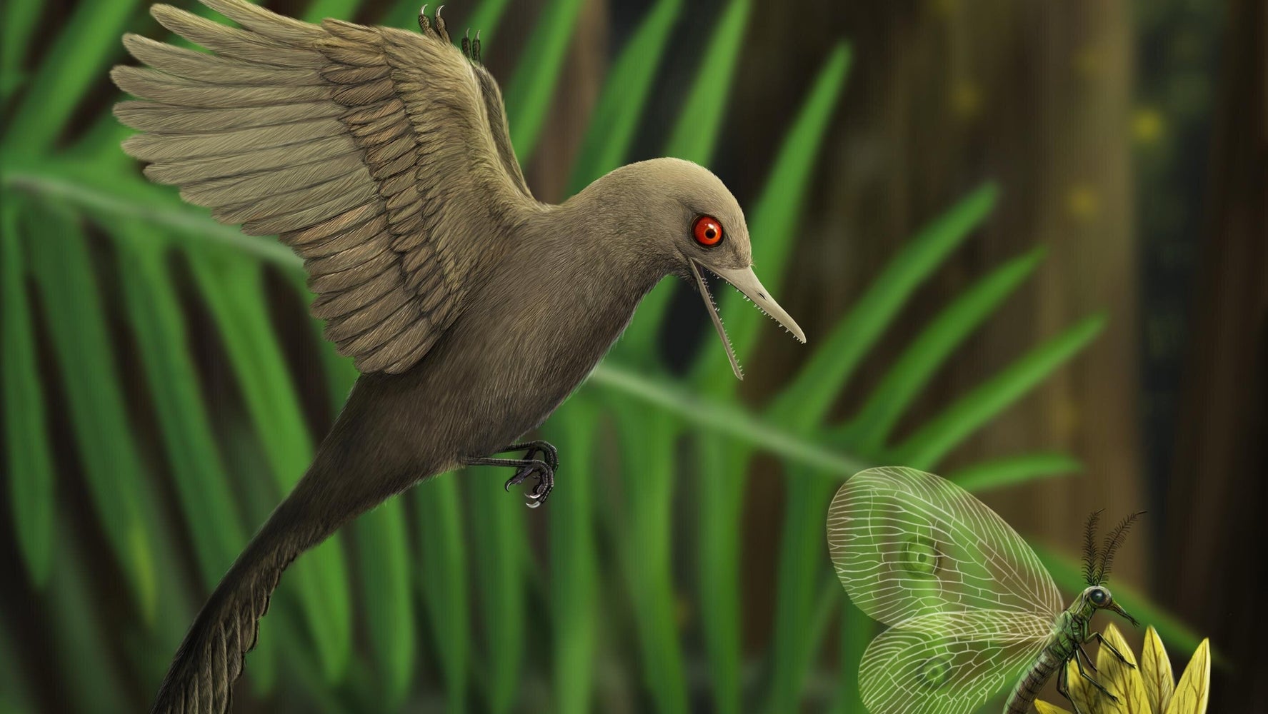 最小の恐竜 を発見 想像図はどう見ても鳥 なぜ ハフポスト World 最小の恐竜 を発見 想像図はどう見ても鳥 なぜ ハフポスト World