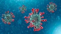 6 Experts On Why We Panic About The Coronavirus But Not About The Climate