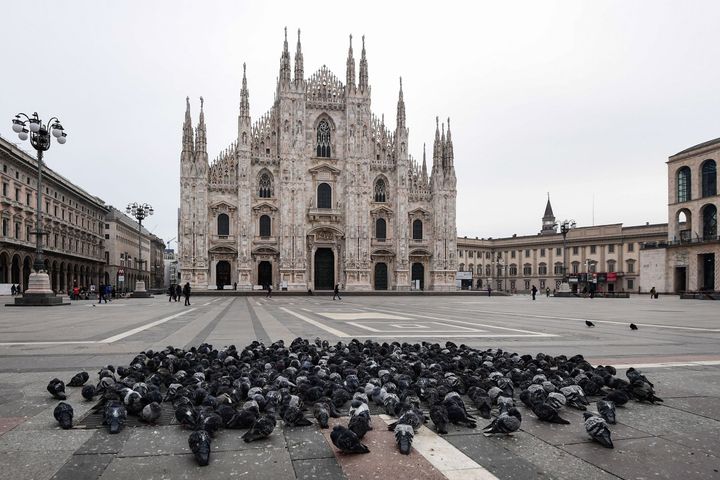 新型コロナの影響で全土を封鎖するという前代未聞の措置を講じたイタリア。封鎖初日に、人のほとんどいなくなったミラノ大聖堂広場で、鳩たちが身を寄せ合っていた / 3月10日