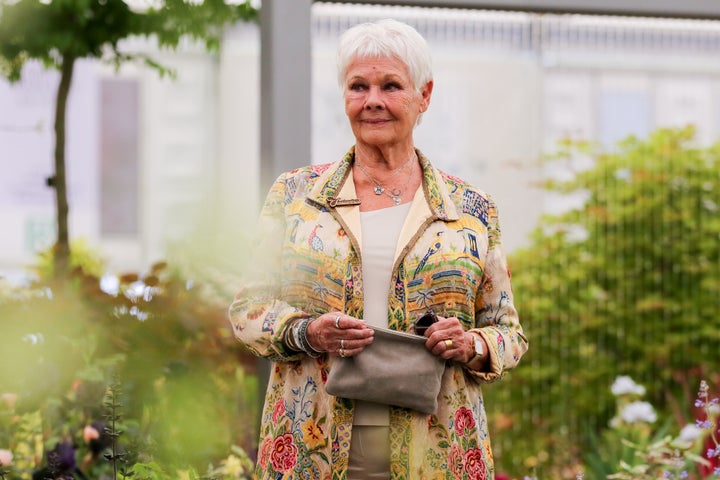 Judi Dench pictured last year