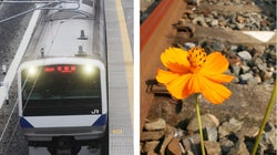 JR常磐線が全線開通。東日本大震災で途切れた線路が再び繋がる...。「写真」で振り返る復興の歩み