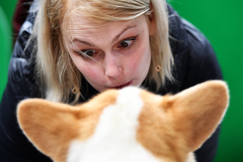 14 Amazing Photos You Missed This