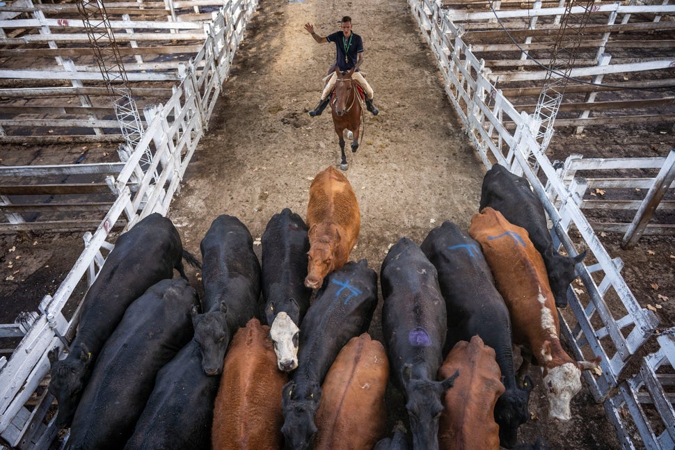 14 Amazing Photos You Missed This
