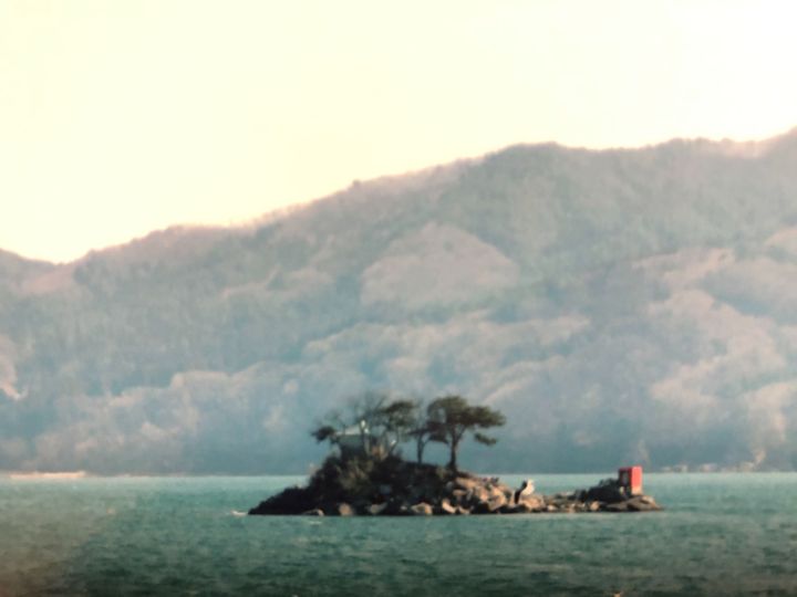 町のシンボル「ひょうたん島」。「ひょっこりひょうたん島」のモデルの一つとされる大槌湾の蓬莱島。当時、灯台は折れ、赤い根元部分だけが残っていた＝2011年3月撮影